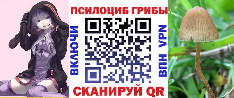 Галлюциногенные грибы прущие грибы  Купить где  Суджа 